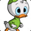 Robin