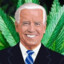 joe biden do be weeding