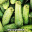 Бронтозябра