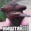 Mode: ЩащаКлeйменoва