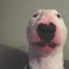 Duppix