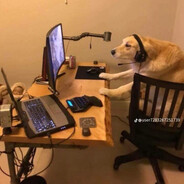 ✪hoNN✪ - steam id 76561198967298907