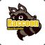 Raccoon