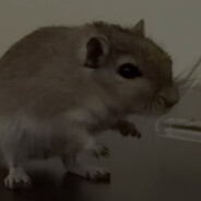 За ящиком двигаюс