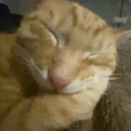 RINGO0 - steam id 76561198988813043