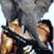 War_elephant - steam id 76561197961432339