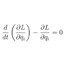 Euler-Lagrange Equation