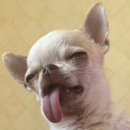 排位的尽头是开挂