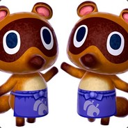 Timmy and Tommy Nook