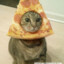 Pizza de la Katze