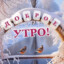 похороны хомяка