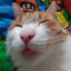 ApucToKpaT