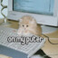 nepryash/