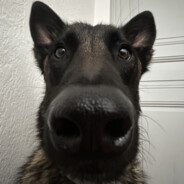Roro
