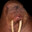 Major Walrus