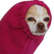 K3Ba8 DoGGy  EZEZEZEZezez