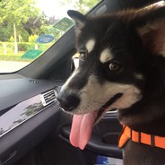 差不多✪先生✪