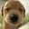 Lemdogs Steam avatar