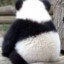 我想不明白