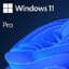 Windows 11 PRO