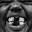 Ye's Avatar