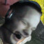 zwis
