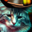 Sad Cat In a Cowboy Hat