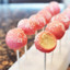 StarBucks Cake Pop