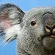 New *****ID  ADD ME ! => Koala_o