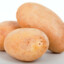 Potato