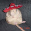 Fat Rat In a Hat