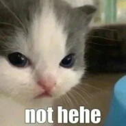 ASuuuuuuiiiiiiiiiiii