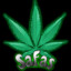 Safas7