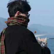 比奇堡第一突破手派大星