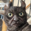 God Left Me Unfinished