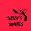 shelby&#039;s genetics