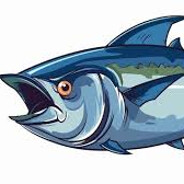 大西洋第一狙擊手_鮪魚