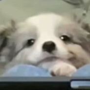 阿祟是只草履虫