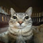 Avatar of testpleaseignor
