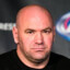 dana white