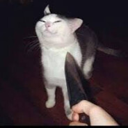 MischievousCreatureOfTheFarlands