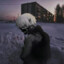Stalker [Etern1tyGamingRP]