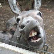 GG GG GG GG GG GG GG GG GG GG GG