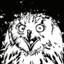 Cocaine Owl