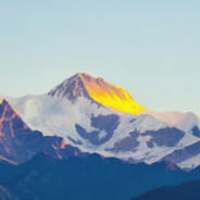 回收塑料瓶易拉罐