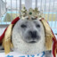 Lord Ouughh III