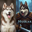 Siberian Huskar
