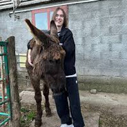 zhoki - steam id 76561199233786869