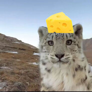 理塘员工张新昭