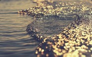 spyker - steam id 76561197961754459